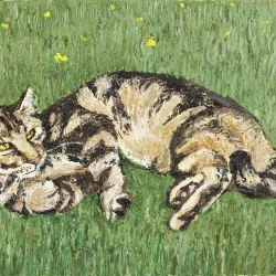 Figgy the Cat - Oil on Canvas - cm by cm