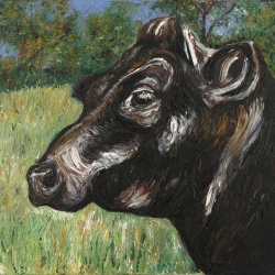 Betsy the Cow - Oil on Canvas - cm by cm