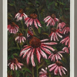 Echinacea Flowers - Framed oil on board - 45.5cm by 61cm