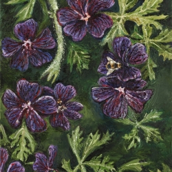 Geranium - Framed Oil on Canvas Painting - 53cm 75.5 by cm