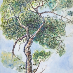 KD-Tree-1-30-4-26