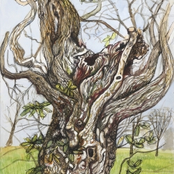 KD-Tree-2-30-4-26