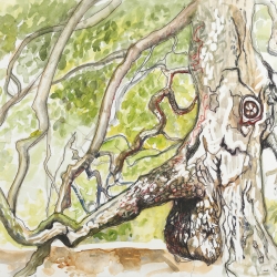KD-Tree-3-30-4-26