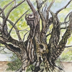 KD-Tree-5-30-4-26