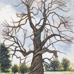 KD-Tree-6-30-4-26