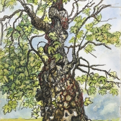 KD-Tree-7-30-4-26