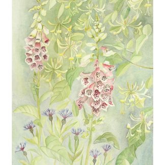 Foxgloves, Honeysuckle and Centaurea - Giclee Print