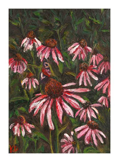 Echinacea Flowers - Giclee Print