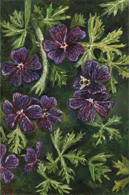 Geranium